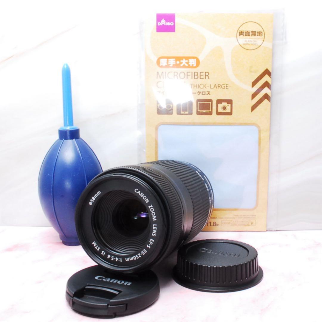 美品❤️Canon EF-S 55-250mm IS STM 高性能望遠レンズ