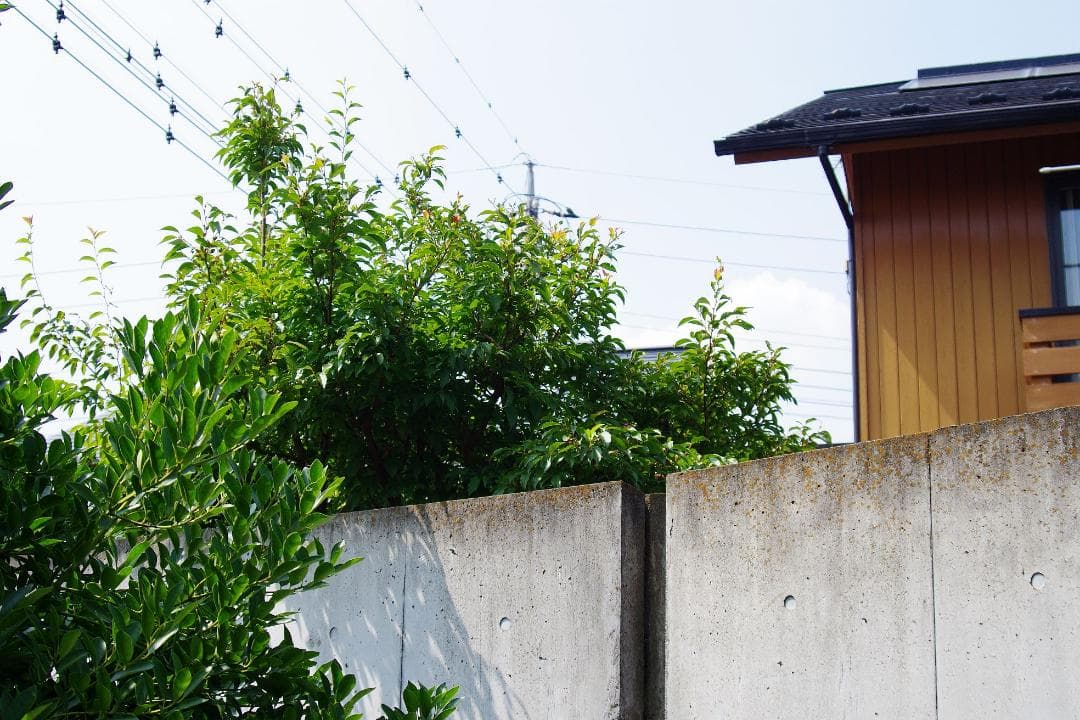 PENTAX ME 35-70mm F4 フィルムカメラスタートセット 中古