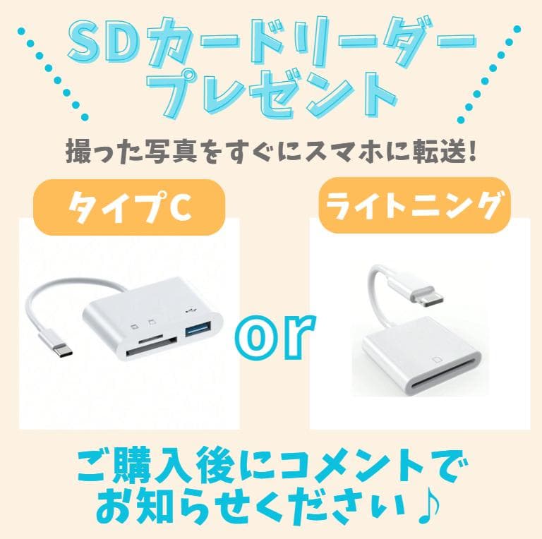 【使用感極少　美品】Nikon D5200　スマホ転送　バリアングル液晶　自撮り