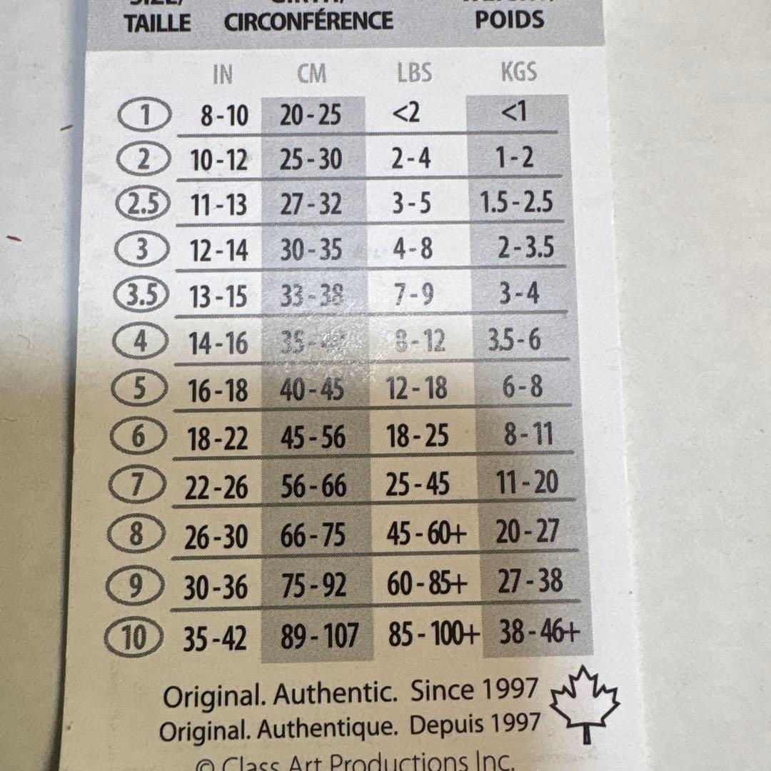 BUDDY BELT （Blue）２号　リードセット