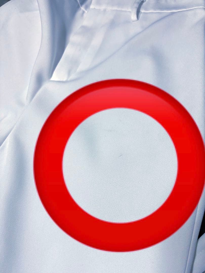 アイク・イーヴランド コスプレ衣装 ウィッグ フルセット