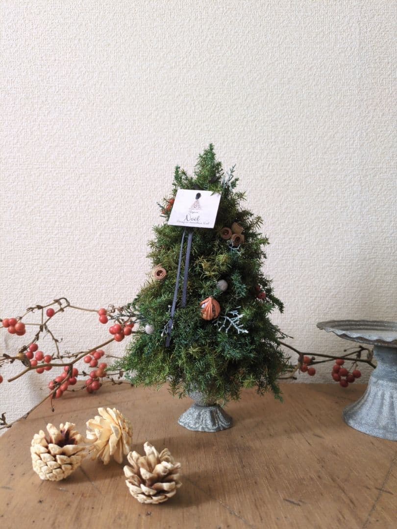 コニファーのクリスマスツリー プリザーブド Christmas tree