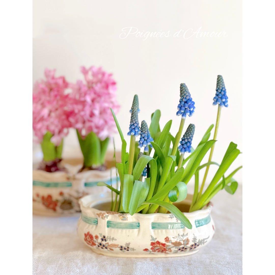 Sarreguemines サルグミンヌ フランス アンティーク ポルトサヴォン