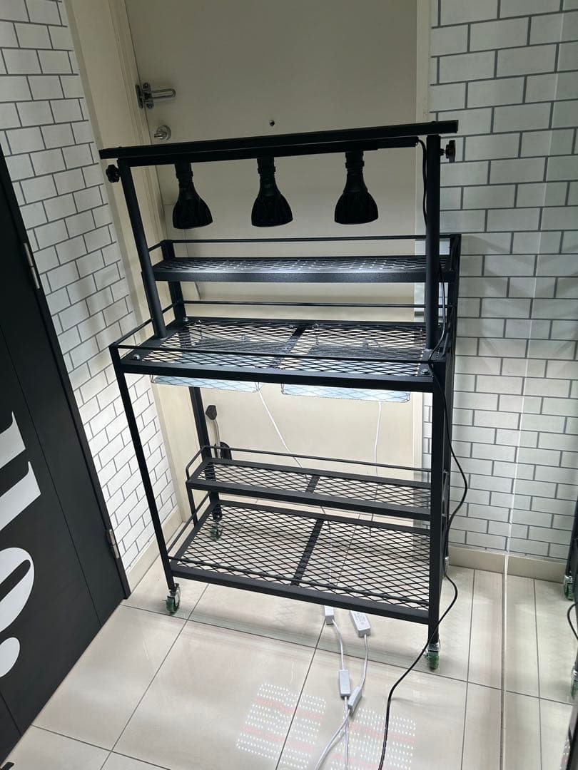 キャスター付植物棚　アイアン棚　パキプス　アイアンシェルフ　アガベ　育成ライト