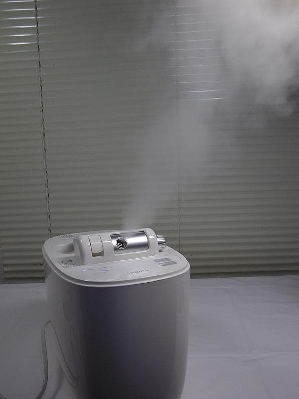 サキナ ピノ スチーマー部分のみ saqina pino 美顔器