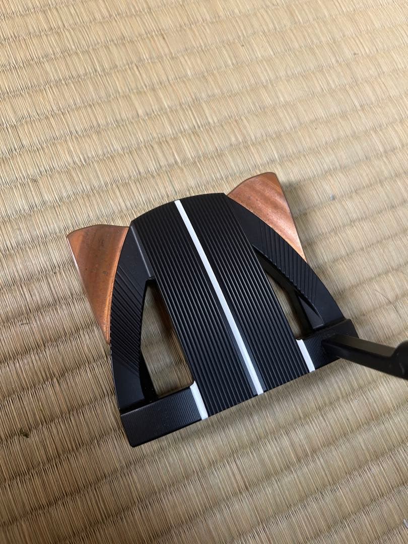 PING BRUZER 限定品