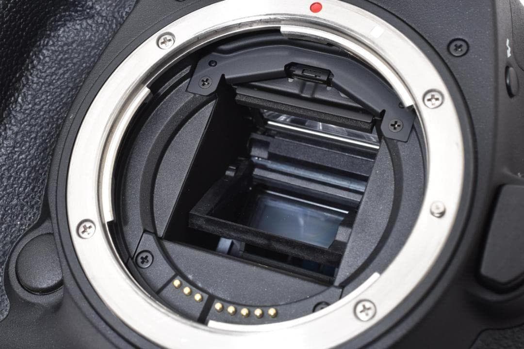 Canon EOS 7D Mark II 標準&望遠 ダブルズームキット