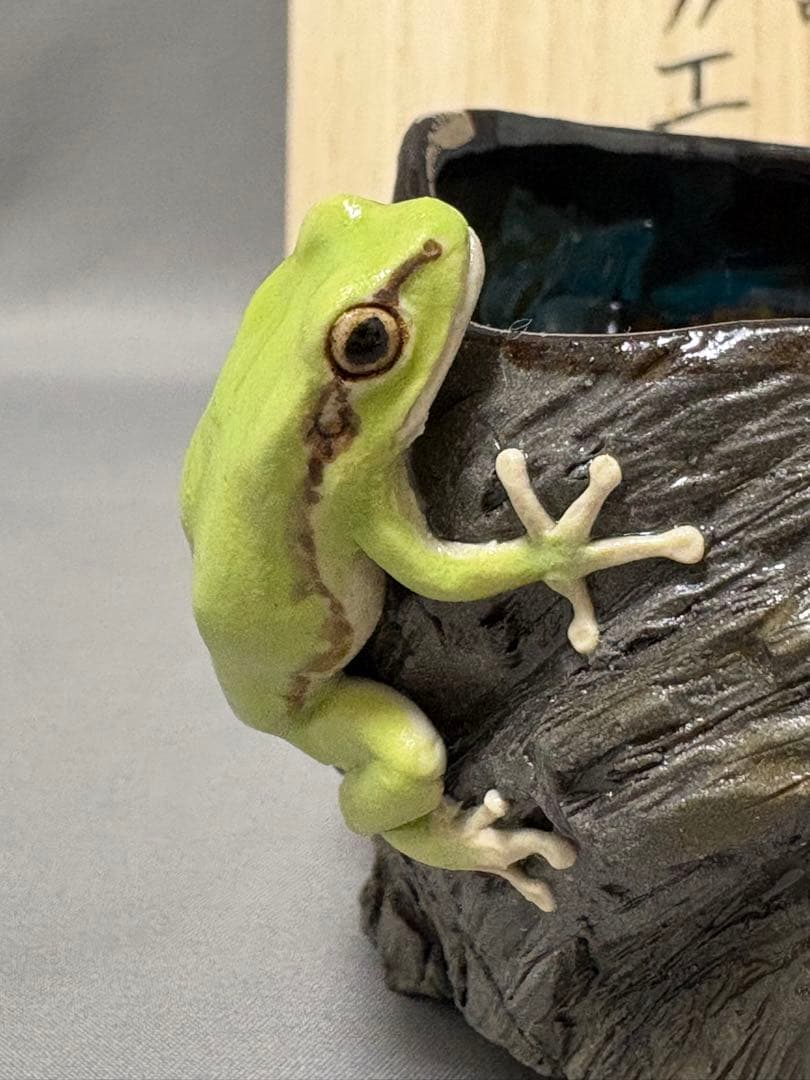 腰越祐貴　樹器とアマガエル