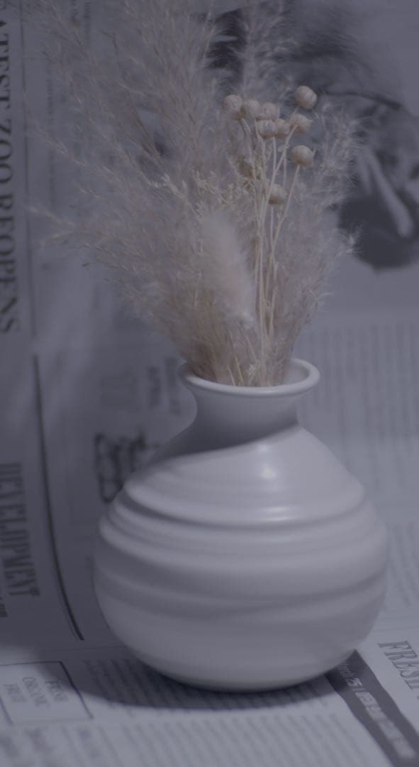 作例有20枚絞り羽根Tair11 133mm f2.8 m42マウント