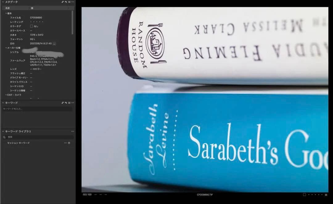 Phase One P45 Vマウント　中判デジタルカメラバック