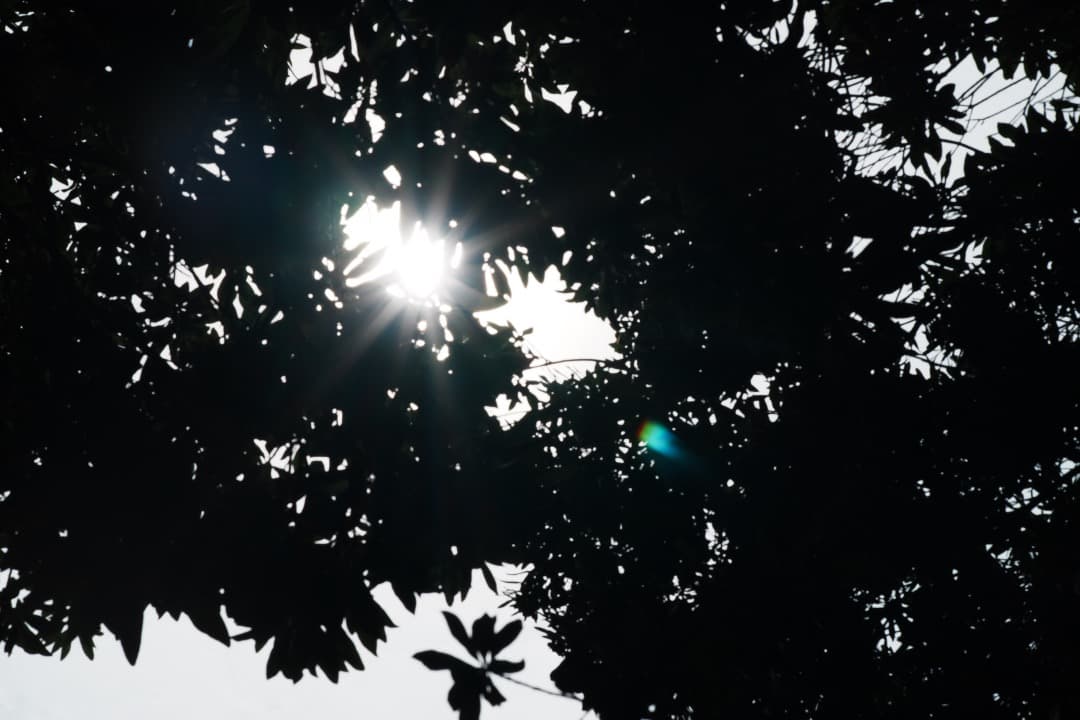 【極美品】動作◎ ニコン Ai Nikkor 85mm F2 745