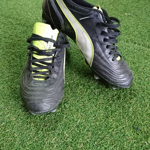 パラメヒコライト取り換え式です！