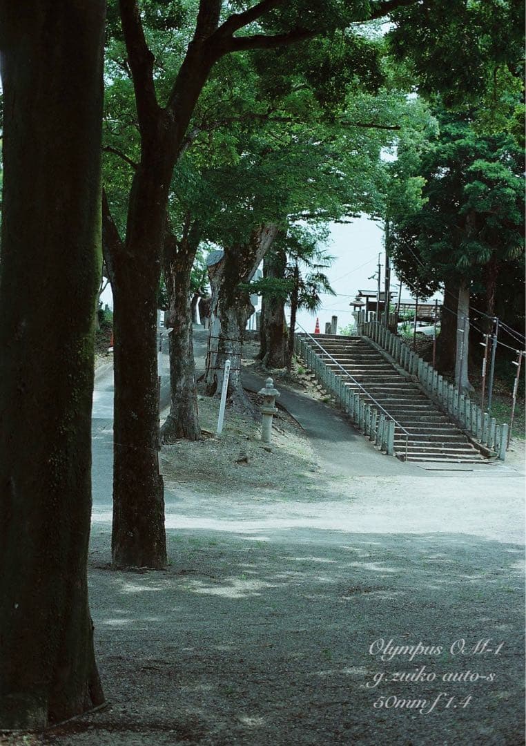 ★完動品＊美品＊初期保証★OM-1&zuiko f1.4#名玉！★作例多数