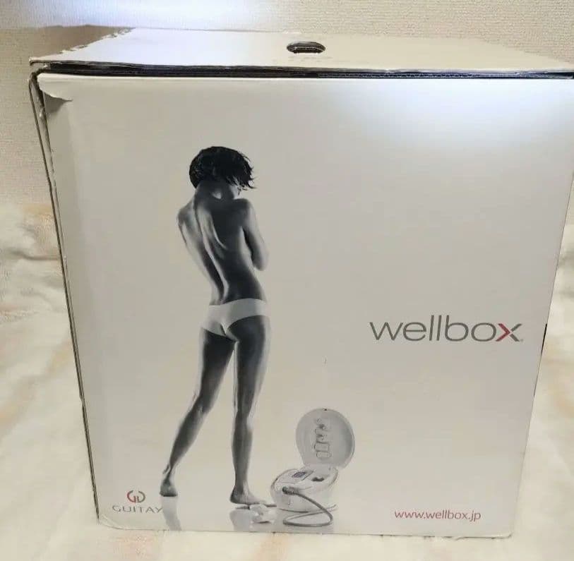 【美品】wellbox GUITAY 家庭用エンダモロジー おうちでエステ