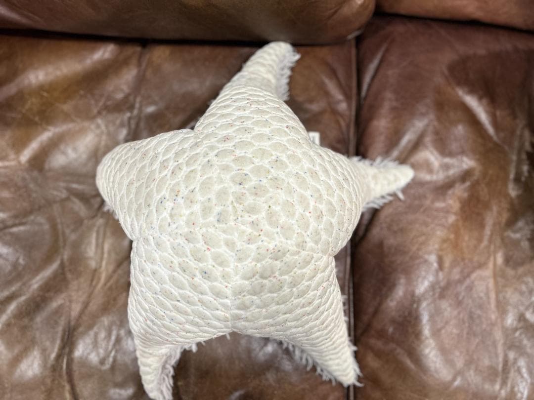 【セット】Ron Herman / ロンハーマン　BigStuffed　ヒトデ