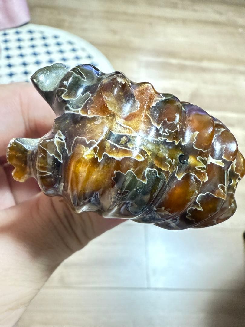 新品　マダガスカルのアンモナイト化石　超大　本物保証　おまけ付き　希少　送料無料