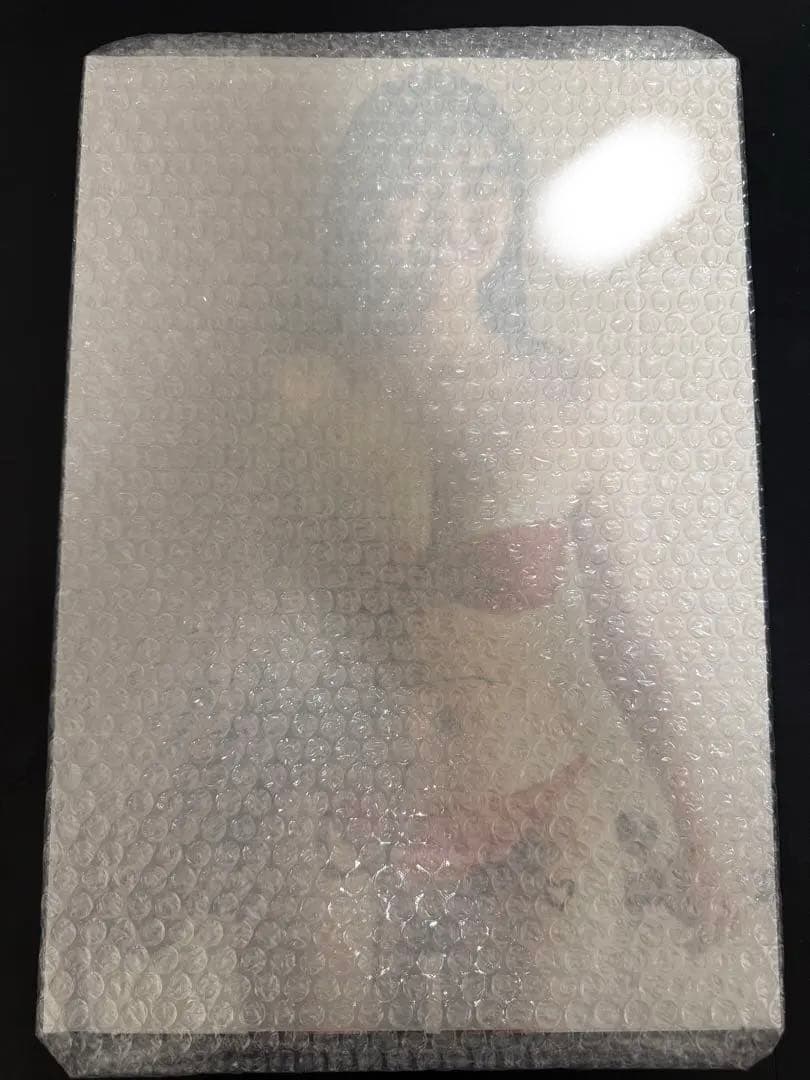 豊田ルナ　サイン入りパネル　シリアルナンバー入り