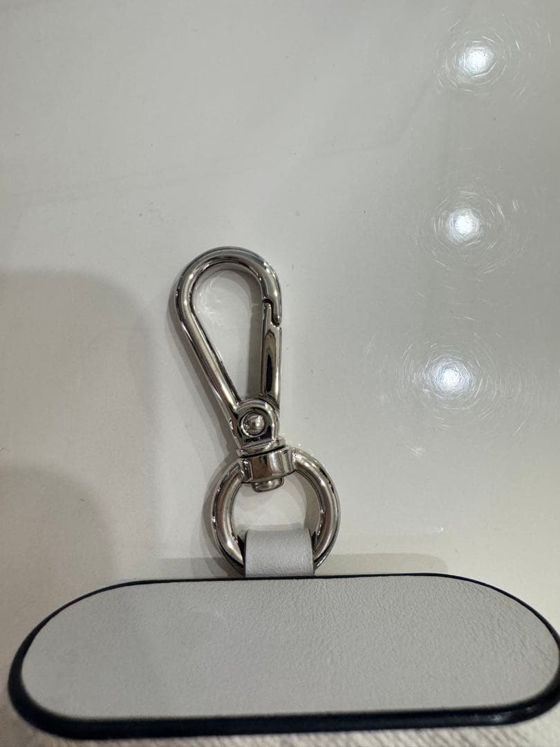 フェンディ　AirPods Pro ケース　数回使用