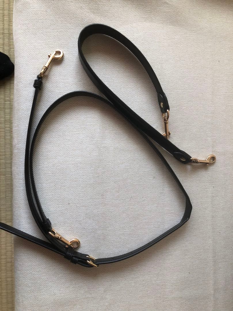 COACH ブラック レザー ショルダーモリーパケットバッグ　コーチ　バッグ