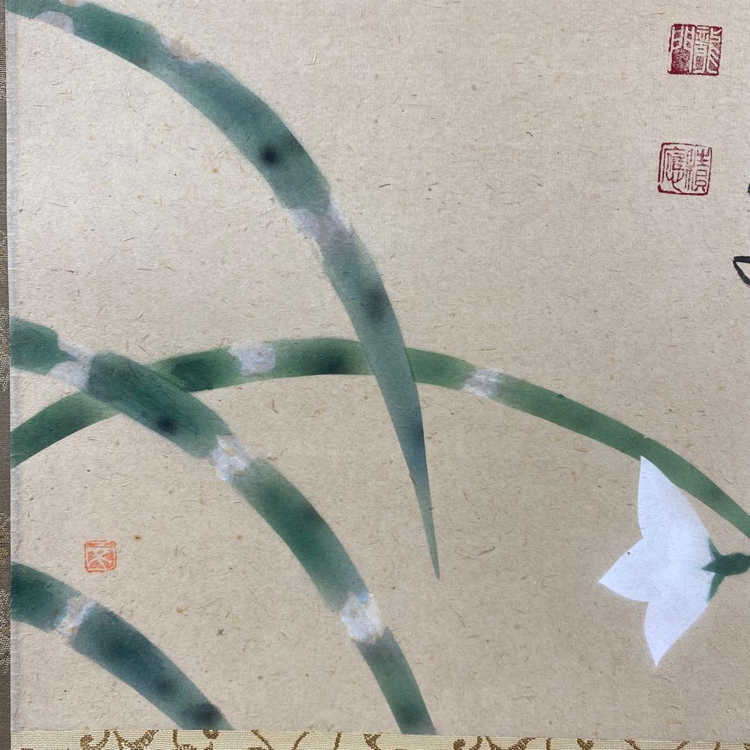 美品 掛け軸 宝林寺 福本積応作 桔梗の図「虫の音」共箱 禅語