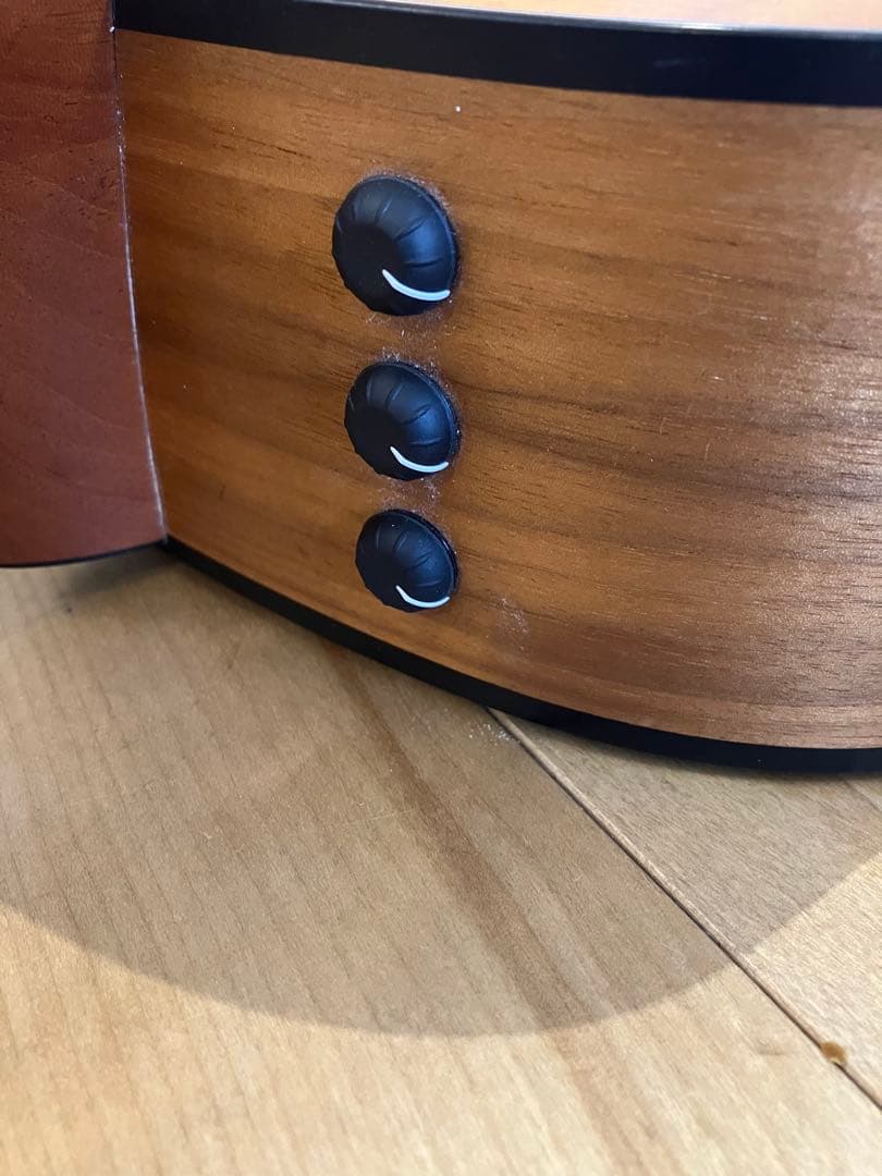 ドラゴンボール様【調整必要】Taylor 110e アコースティックギター