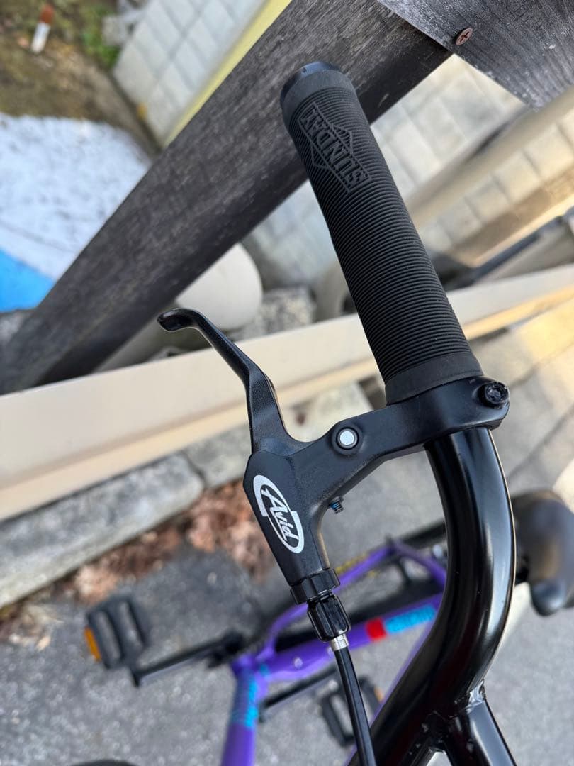 自転車本体 BMX Sunday High C 29 Inch 2025