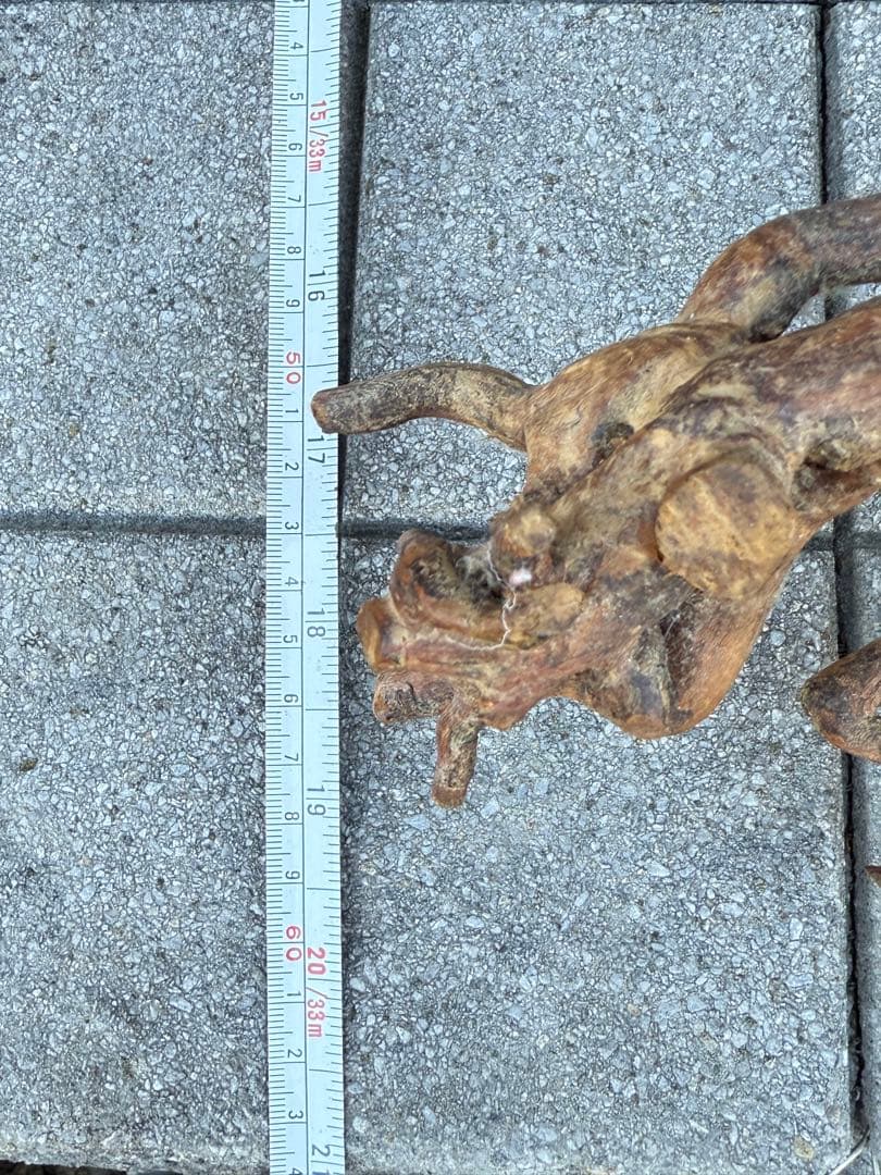 【送料込み】一点モノ★流木　置物　猪　オブジェ　ドリフトウッド　インテリア