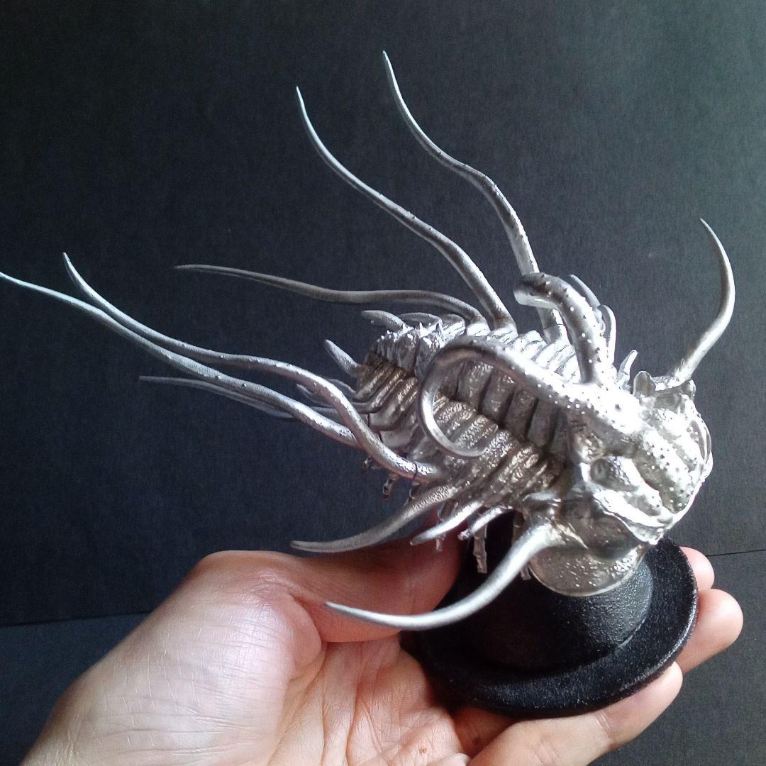 ディクラヌルス　モンストローサス