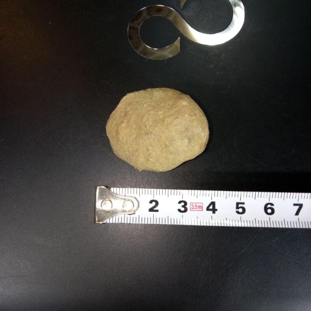 三葉虫　化石　fossil　ボリビア　trilobite　三葉虫綱　三葉虫管理③