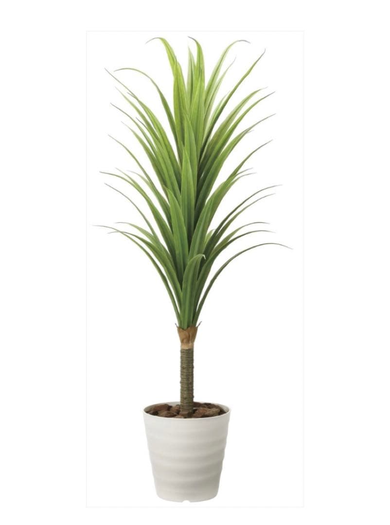 光触媒　人工観葉植物　フェイクグリーン　ドラセナ 高さ 1.8m