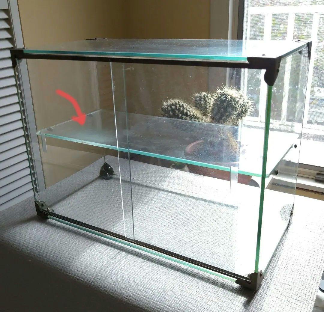 （ameo）古いガラスケース 小型 ショーケース 2段ラック 当時物