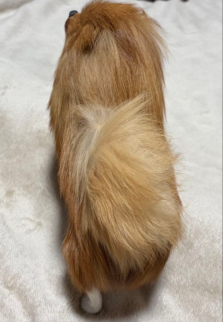 犬　ポメラニアン　リアル　置物