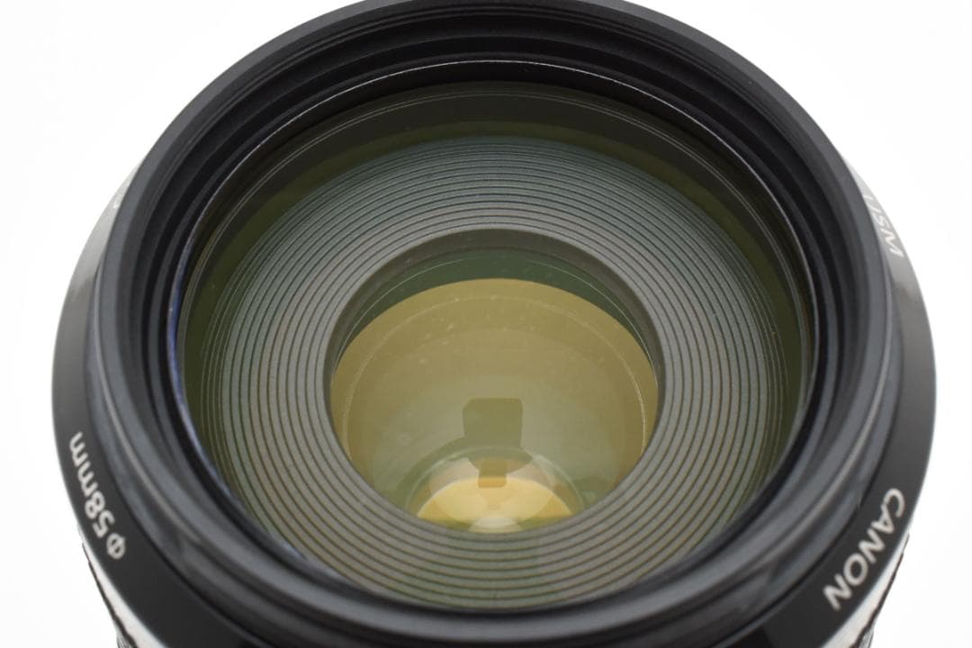 キャノン EF 70-300mm f/4-5.6 IS USM AF 9533