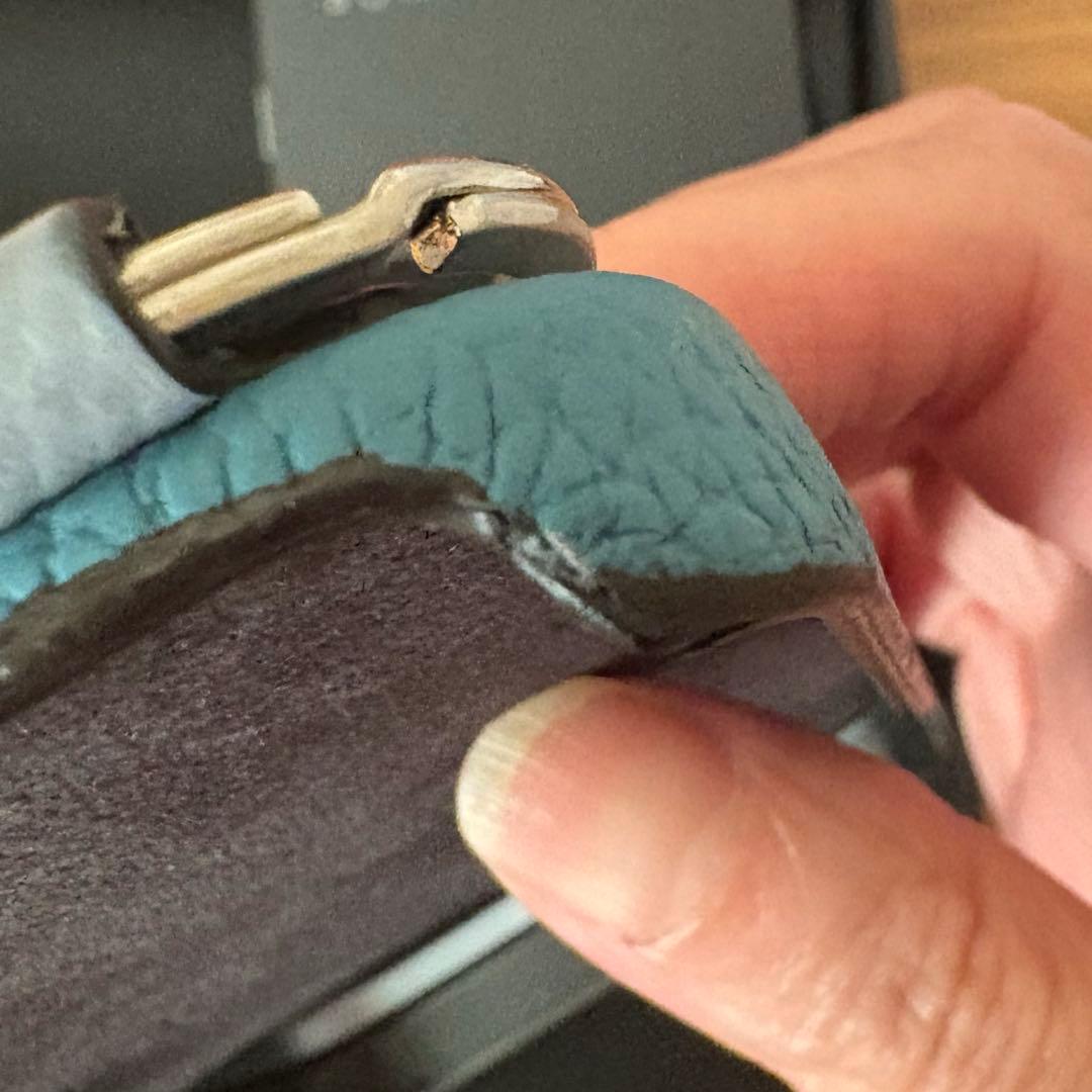 BONAVENTURA iPhoneケース 、ストラップ　iPhone16