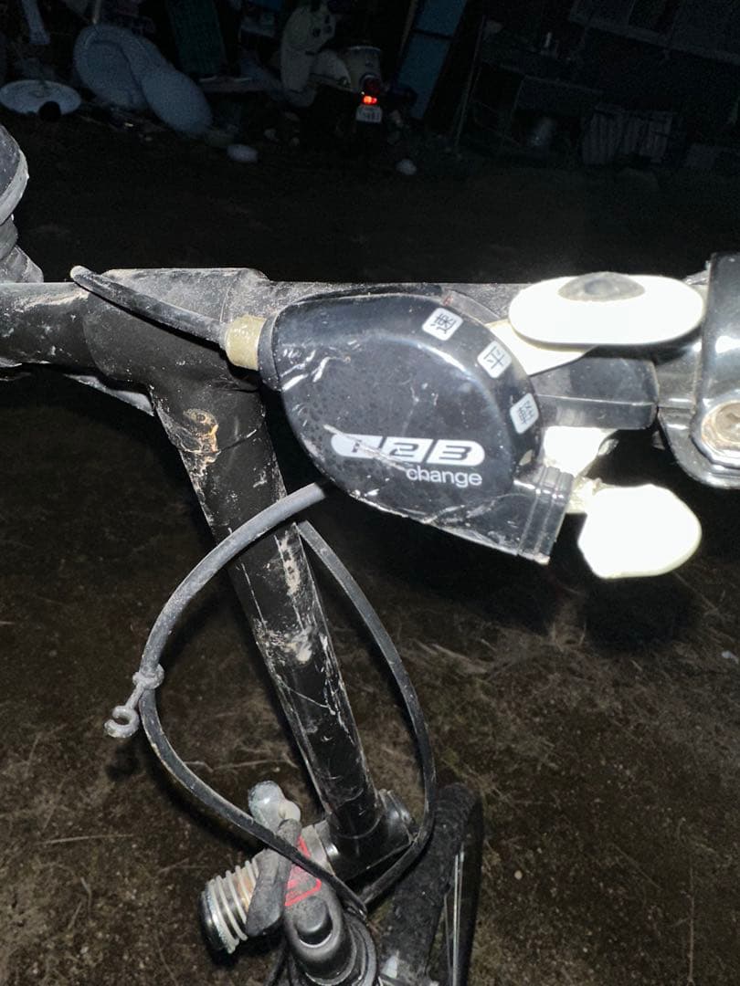 L.L.Bean 折りたたみ自転車 ダークグリーン！