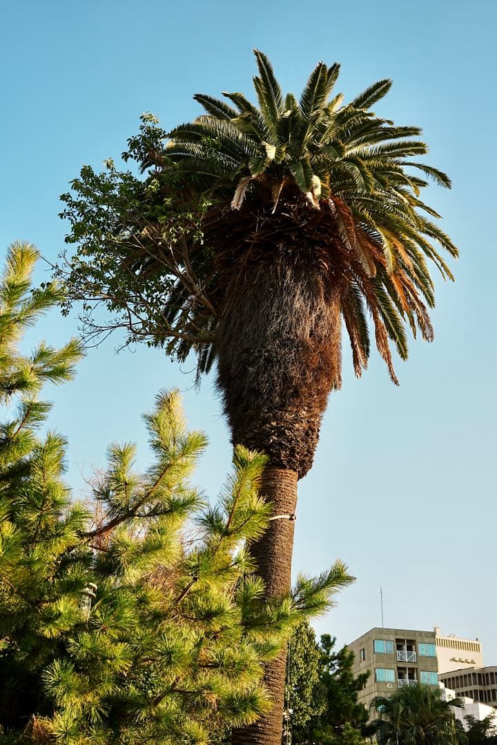 Sony a6400 INTERNATIONAL Sony 16-50 II 新