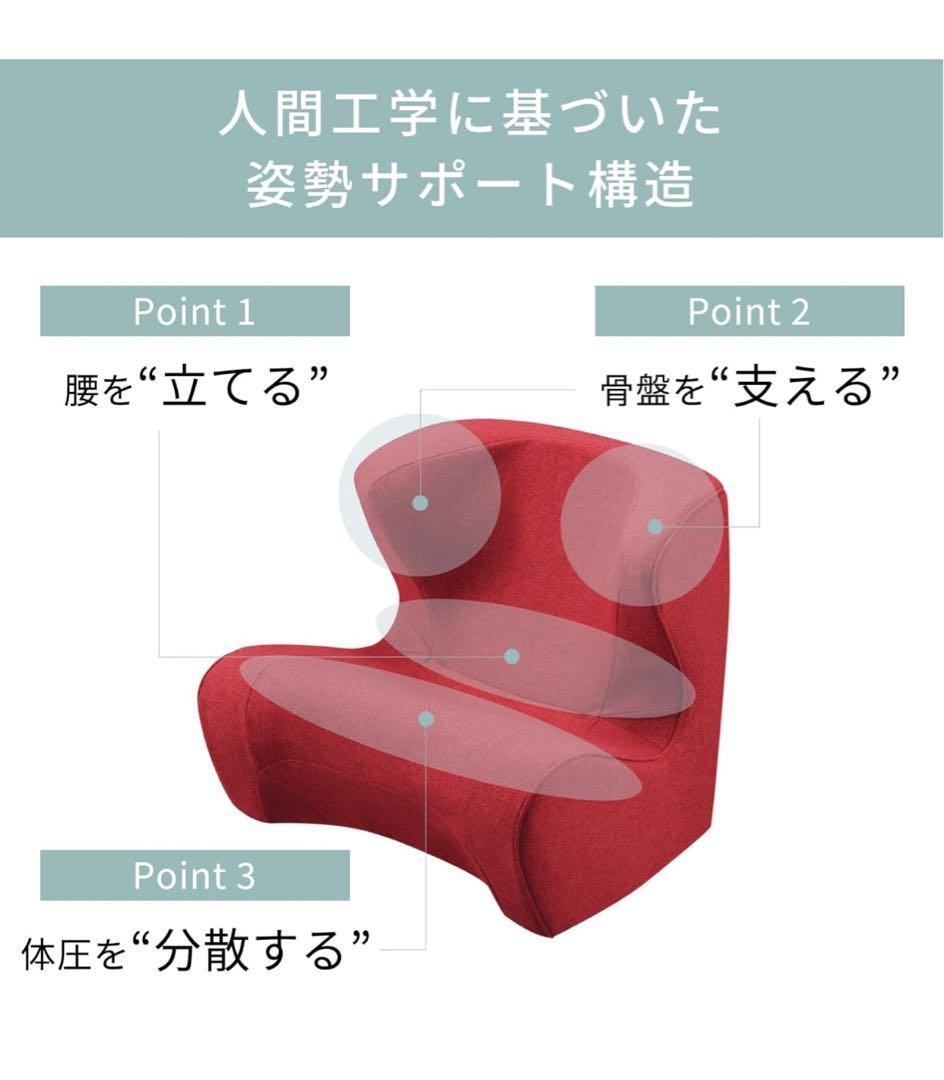 スタイルドクターチェア/Style Dr.CHAIRMTG 骨盤サポートチェア