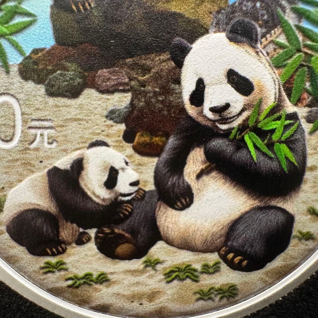 中国 パンダ 銀貨 2025年超最新 純銀 カラー特別版 観賞用ケース入り
