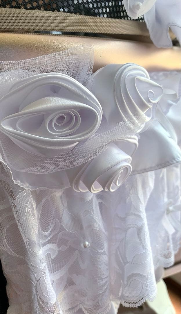 エレガント ドッグカート バギー ペットカート 犬 ヒスクローネ さえら