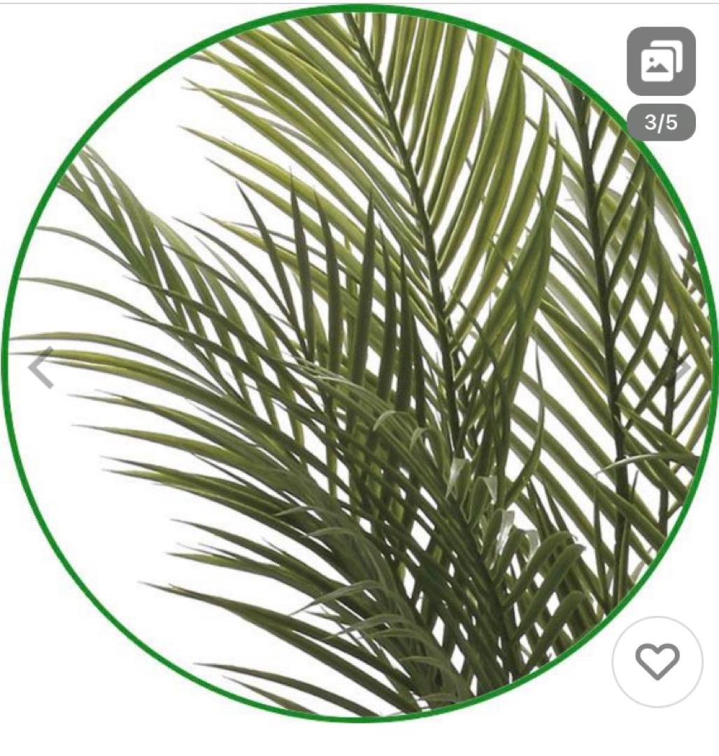 光触媒　人工観葉植物　フェイクグリーン　アーバンアレカパーム1.7m