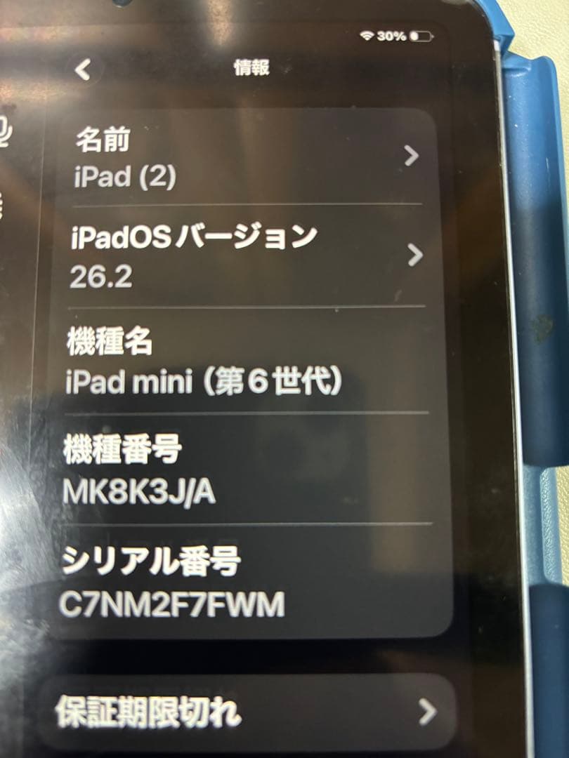 iPad mini6 256GB セルラー