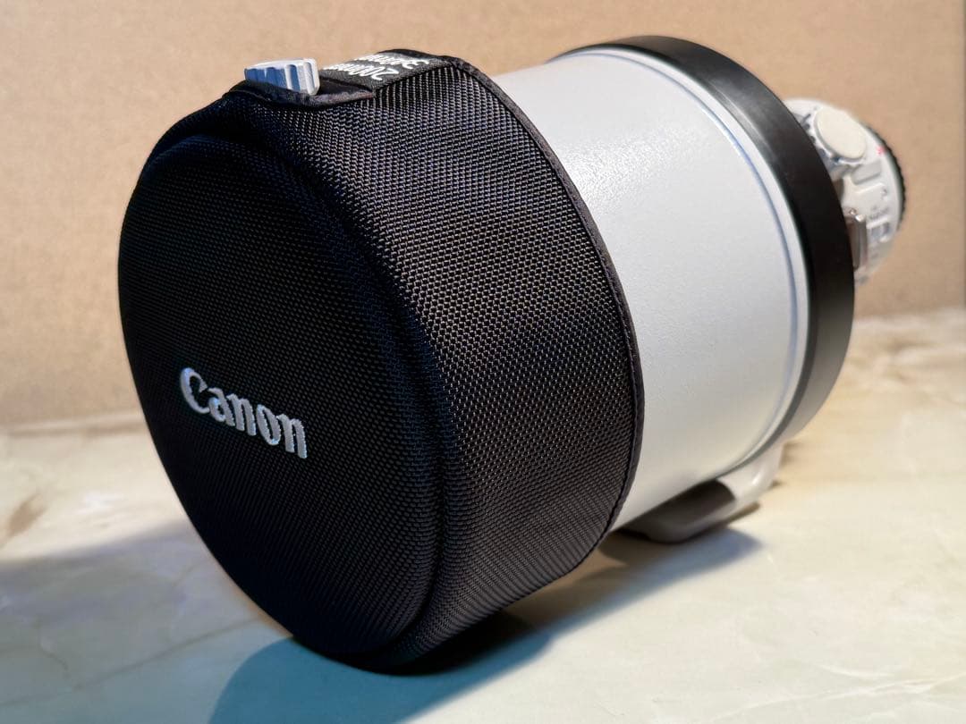 Canon EF400mm F4 DO IS Ⅱ USM