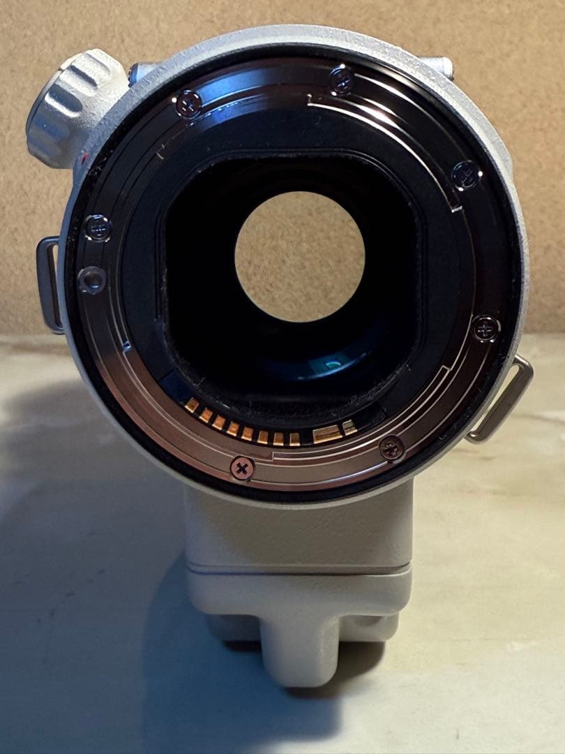 Canon EF400mm F4 DO IS Ⅱ USM