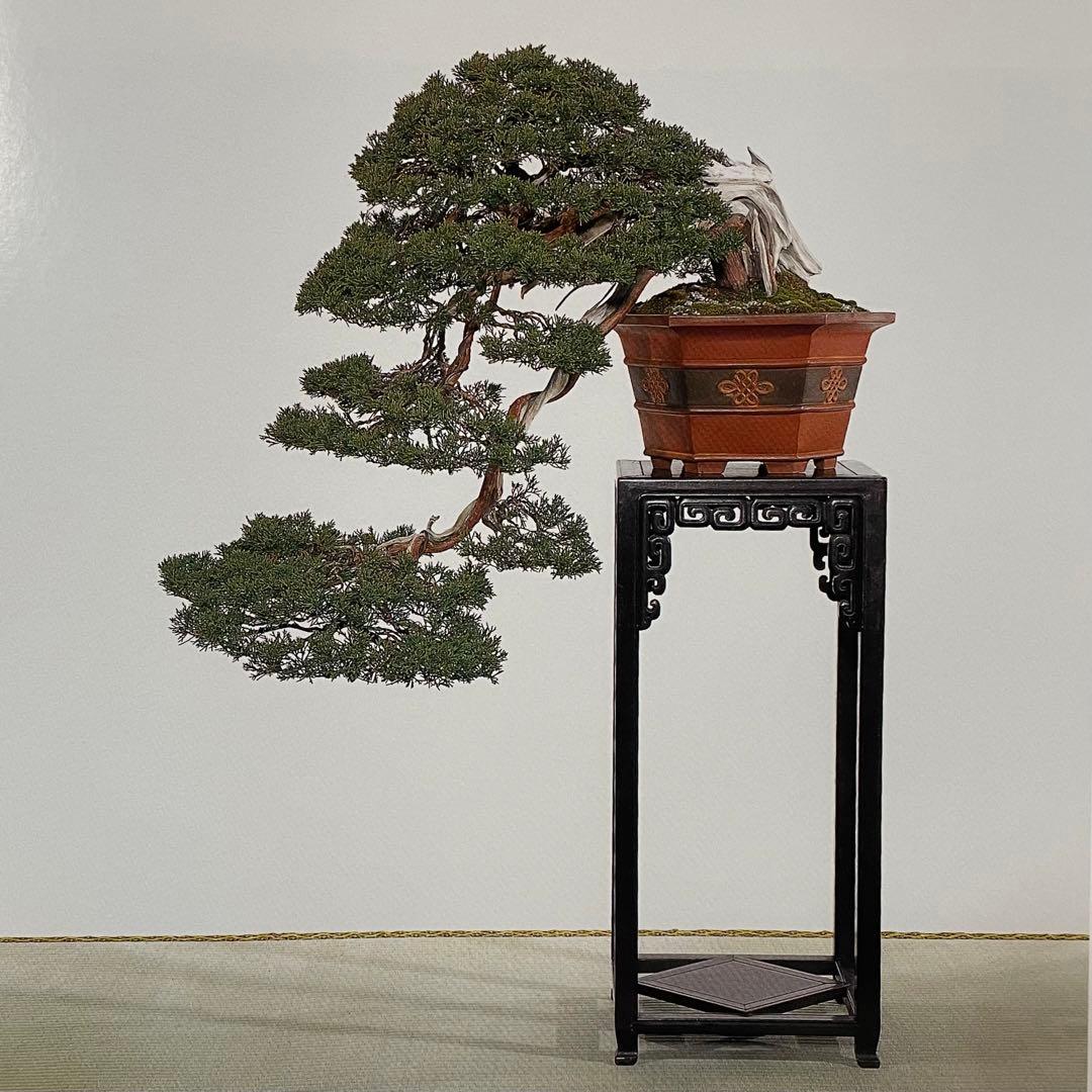 盆栽台 花台 飾り台 香炉台 花瓶台 サイドテーブル 木製 花梨材 アンティーク