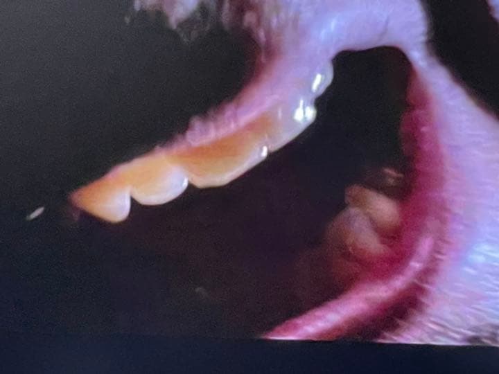 レーザーディスク　プレイヤー