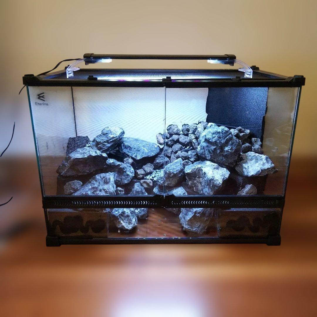 【完成品】滝のあるアクアテラリウムの土台