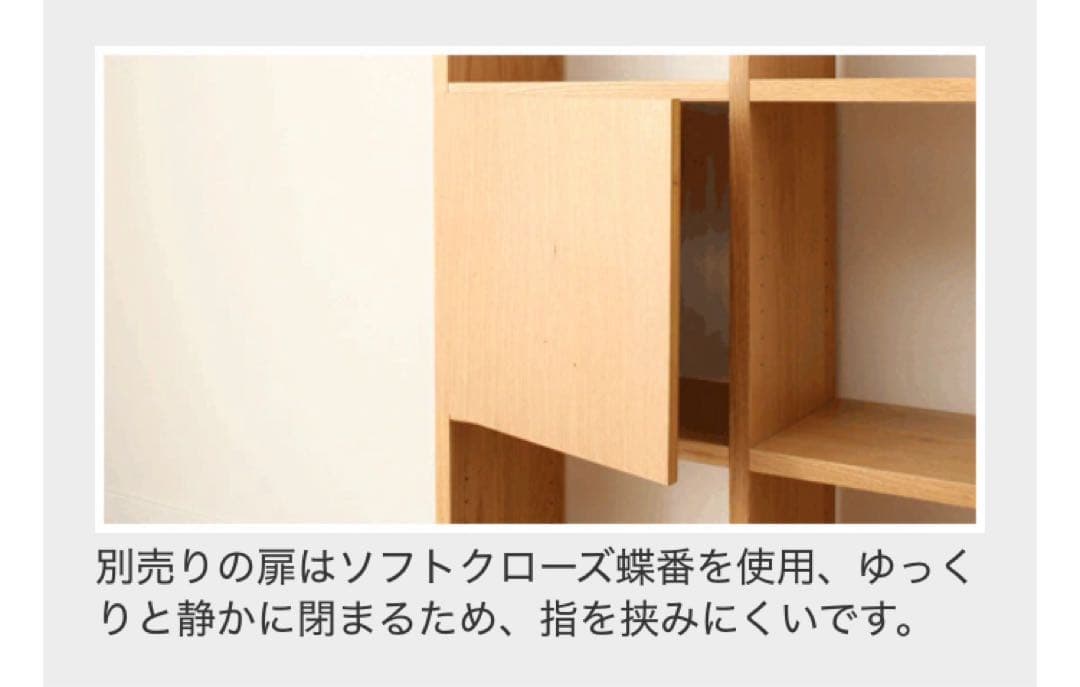 壁面ユニット 追加パーツ コネクト 1段用扉 LBR