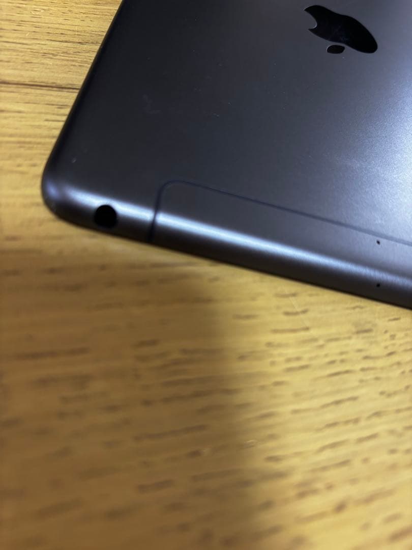 iPad mini 第五世代　64GB SIMフリー　Wi-Fi セルラー