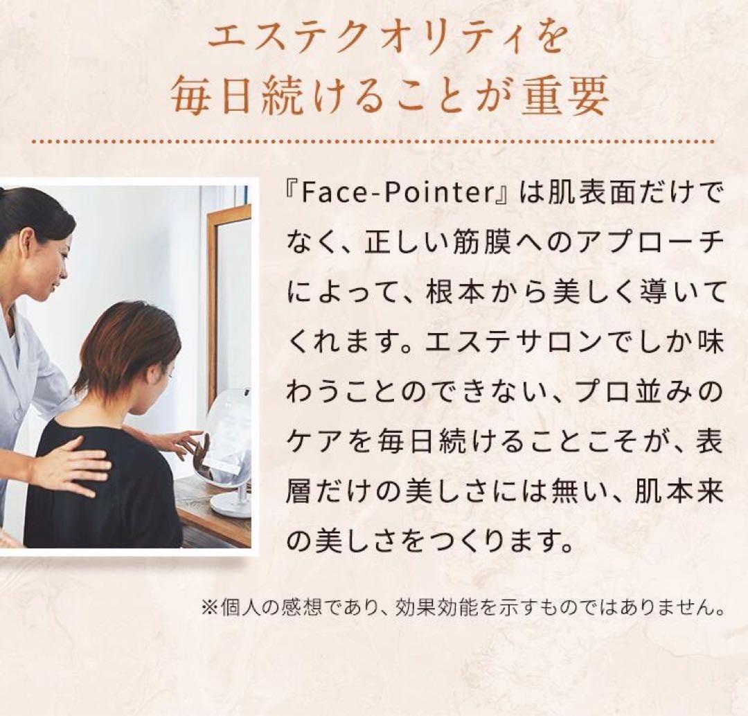 新品　未使用　フェイスポインター　コアフィット