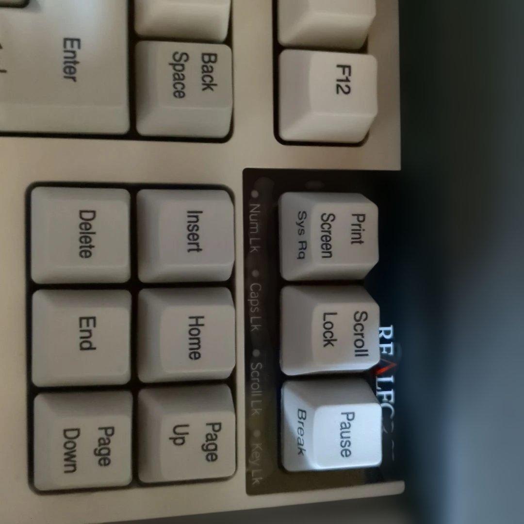 REALFORCE TKL R2（R2TL-JP3-IV／30g／JIS）